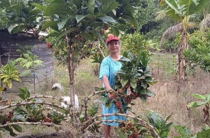 Kohiman Bawa Berkah bagi Warga Muara Kaman